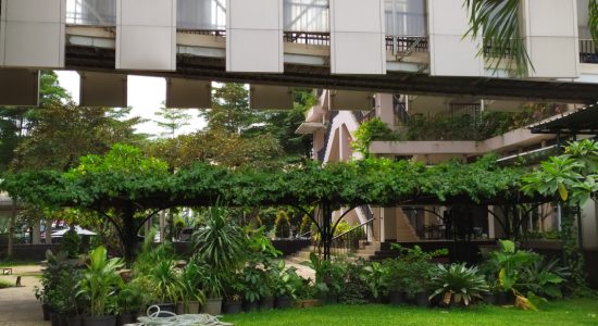 garden 02