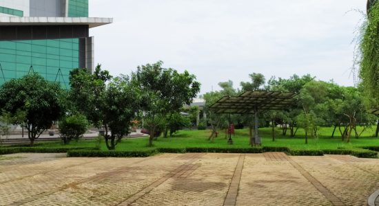 garden 03