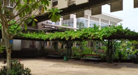 garden 05