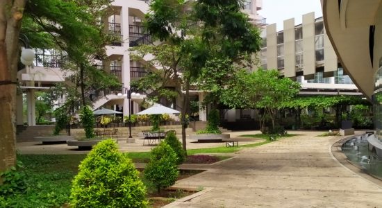 garden 08