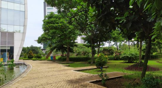 garden 09