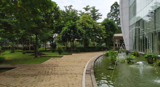 garden 10