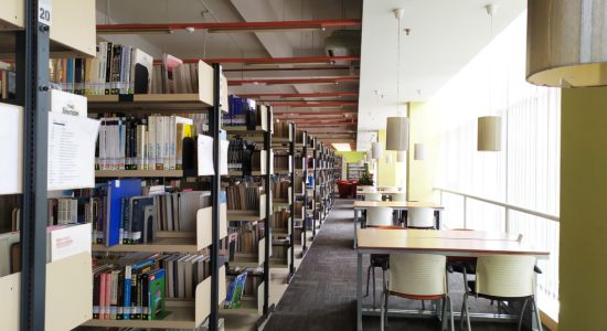 library 06