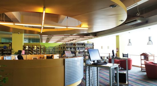 library 11