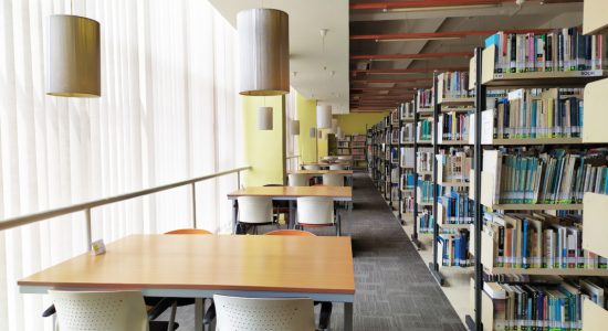 library 13