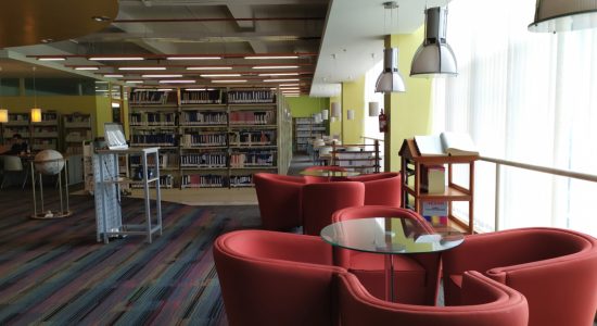 library 17